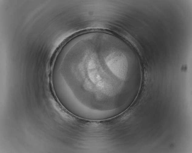 X0000113231124200909241516