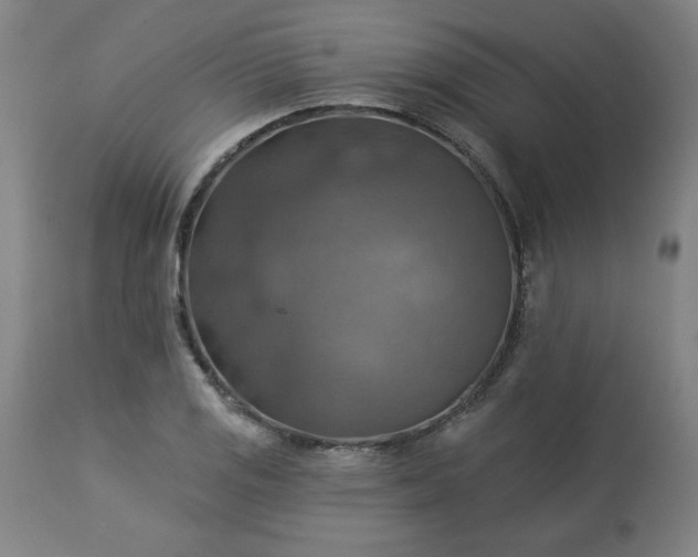 X0000113231125200909241516