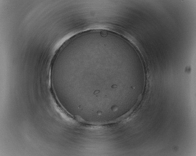 X0000113231127200909241516