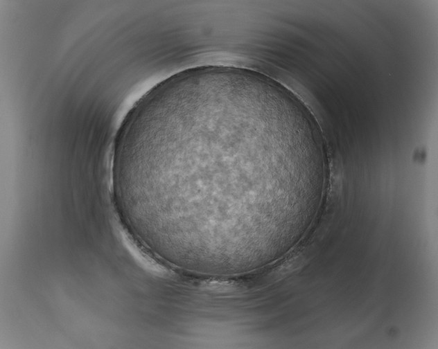 X0000113231128200909241516