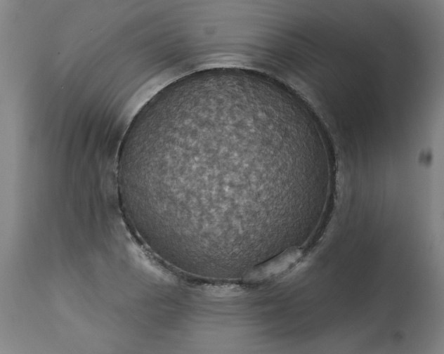 X0000113231129200909241516