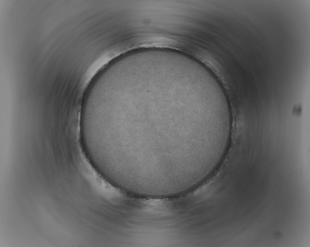 X0000113231130200909241516