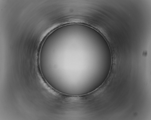 X0000113231134200909241516