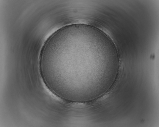 X0000113231135200909241516