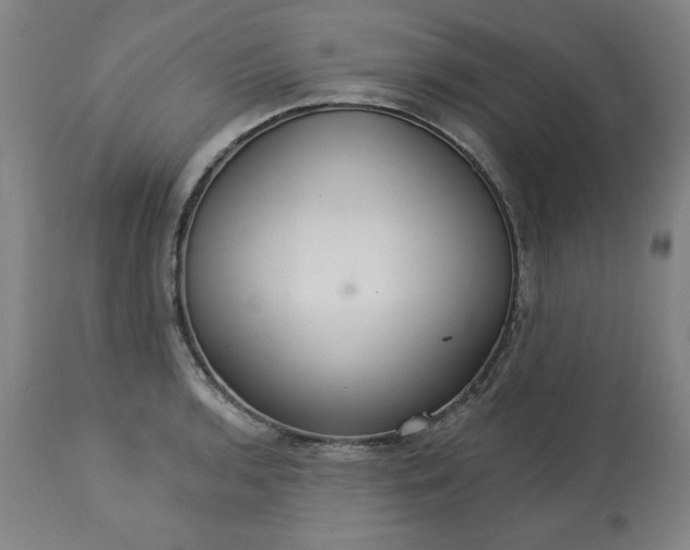 X0000113231136200909241516