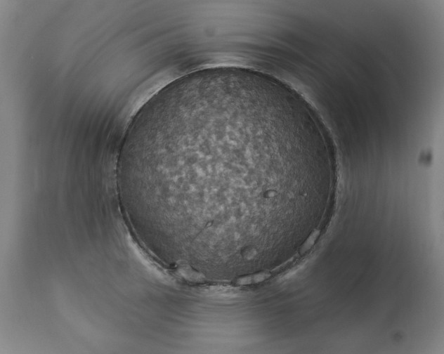 X0000113231137200909241516