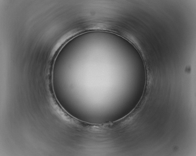 X0000113231138200909241516