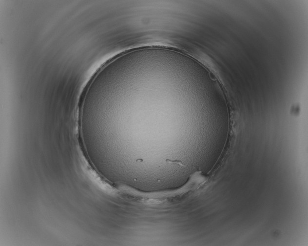 X0000113231140200909241516