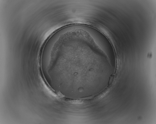 X0000113231141200909241516