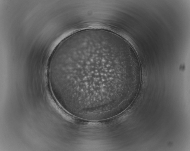 X0000113231142200909241516