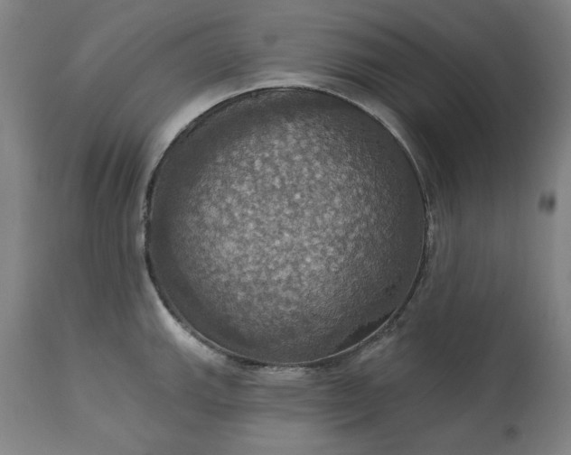 X0000113231143200909241516