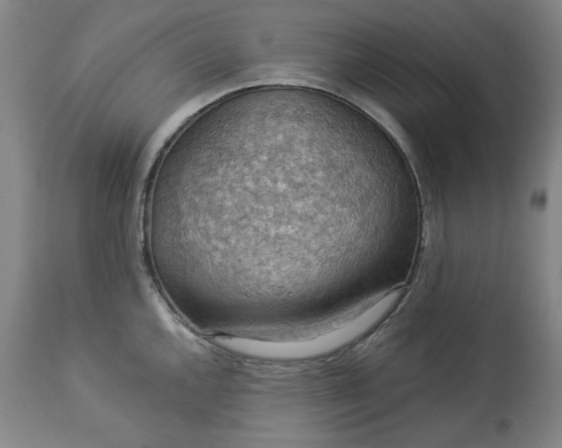 X0000113231144200909241516