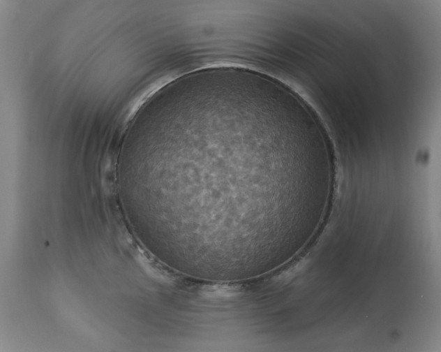 X0000113231145200909241516