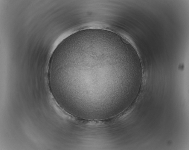 X0000113231146200909241516