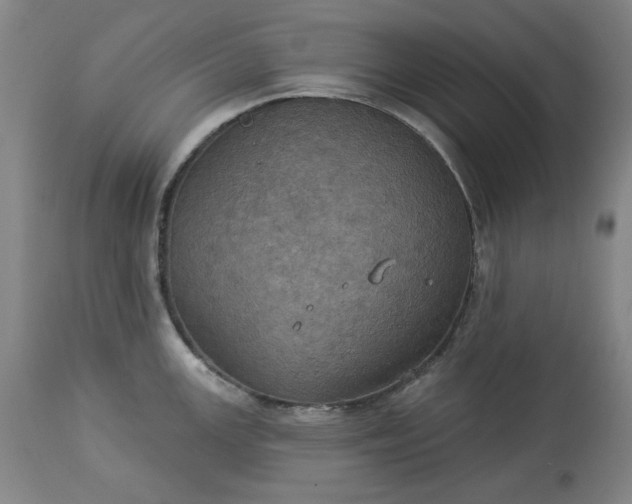 X0000113231147200909241516