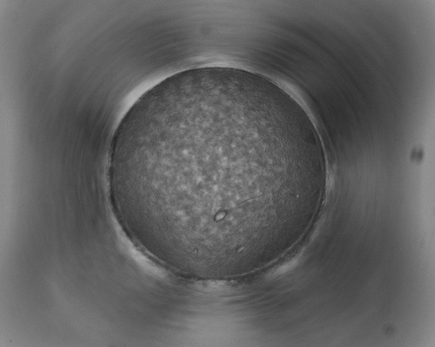 X0000113231149200909241516