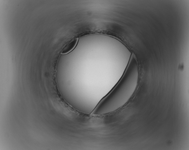 X0000113231153200909241516