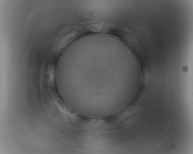 X0000113231154200909241516