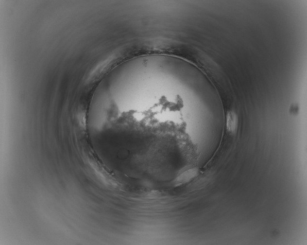 X0000113231155200909241516