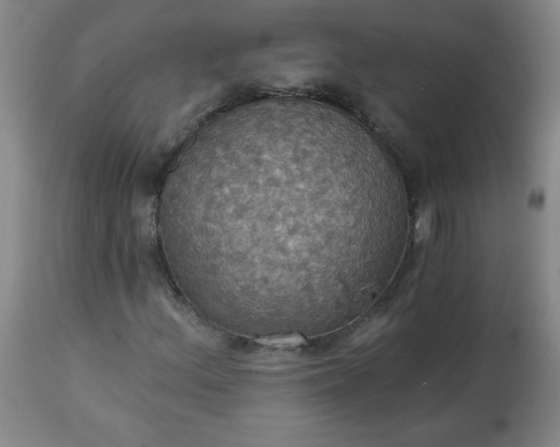 X0000113231156200909241516