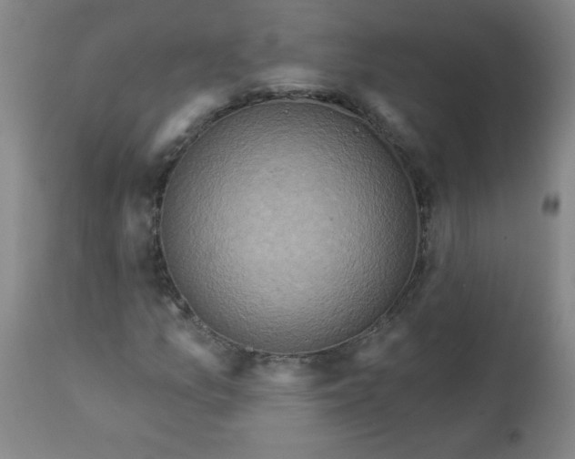 X0000113231157200909241516