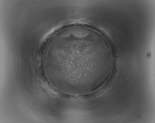 X0000113231159200909241516