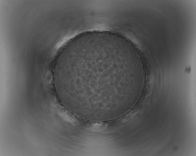 X0000113231160200909241516