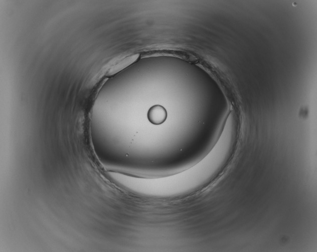 X0000113231161200909241516