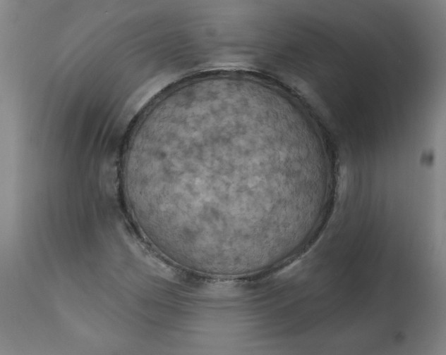 X0000113231162200909241516