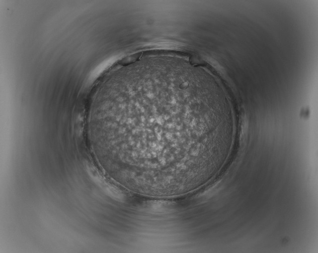 X0000113231163200909241516