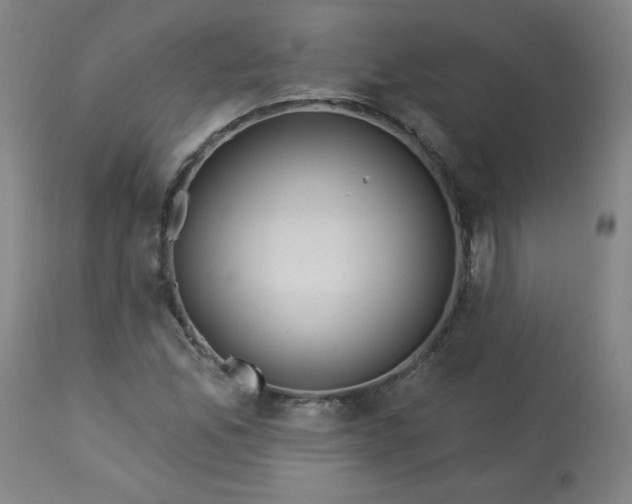 X0000113231165200909241516