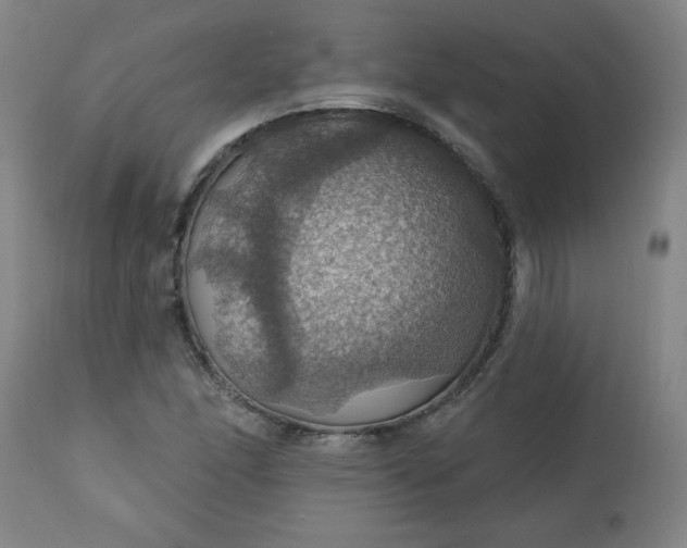 X0000113231166200909241516