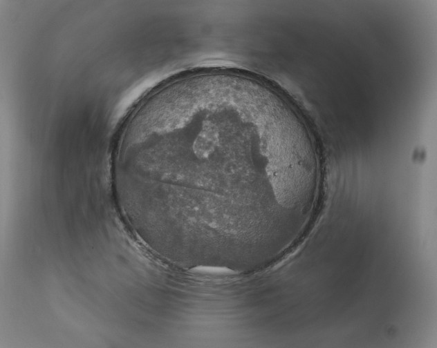 X0000113231167200909241516