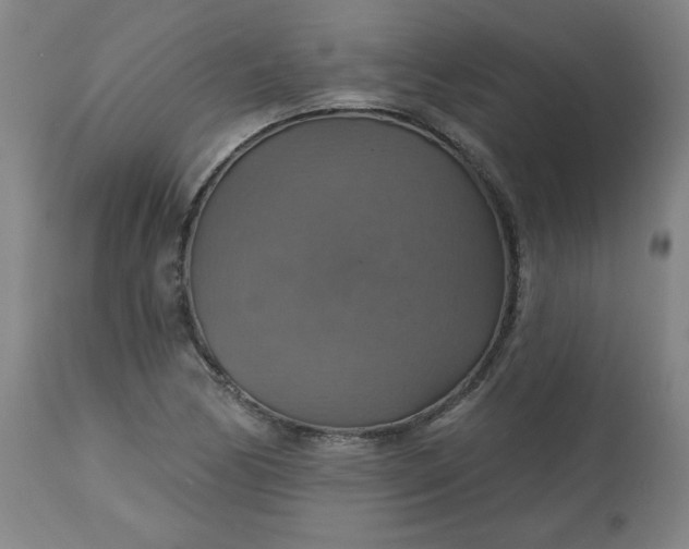 X0000113231170200909241515