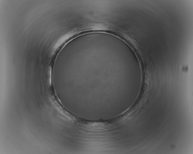 X0000113231171200909241515