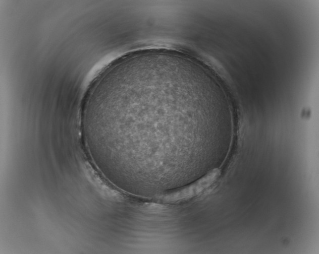 X0000113231172200909241515