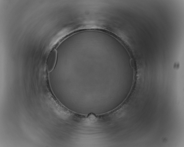 X0000113231173200909241515