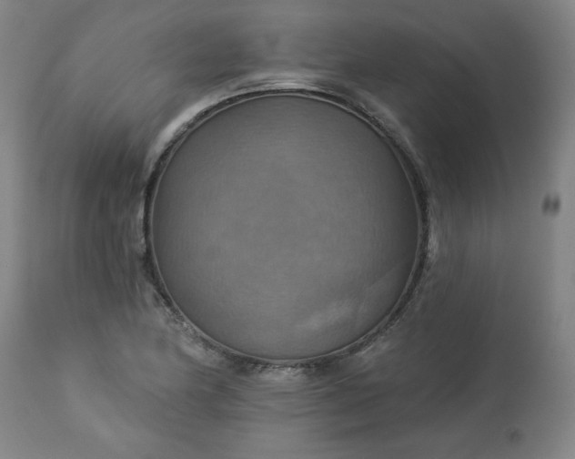 X0000113231174200909241515