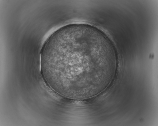 X0000113231175200909241515