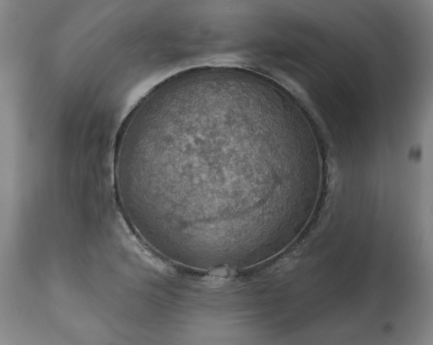 X0000113231176200909241515