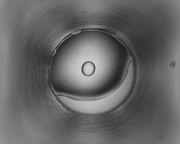 X0000113231177200909241515