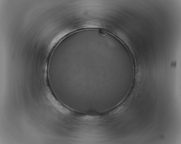 X0000113231179200909241515