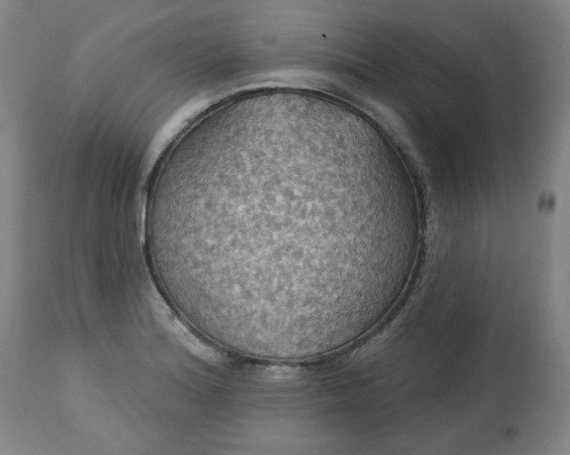 X0000113231180200909241515