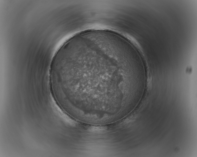 X0000113231183200909241515