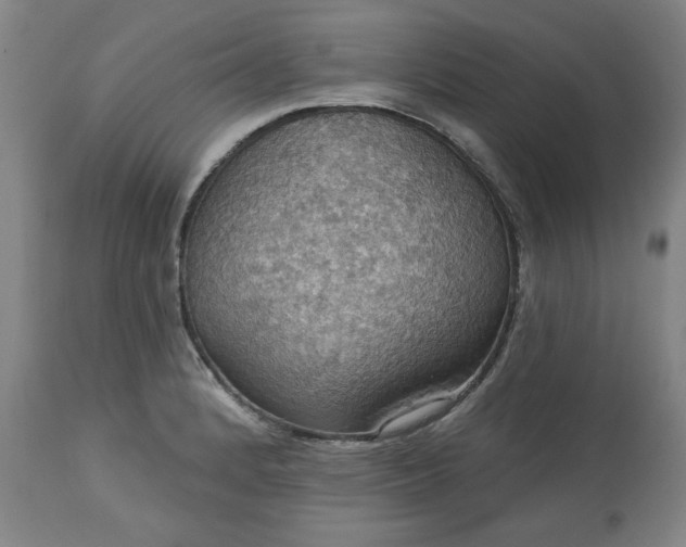 X0000113231184200909241515