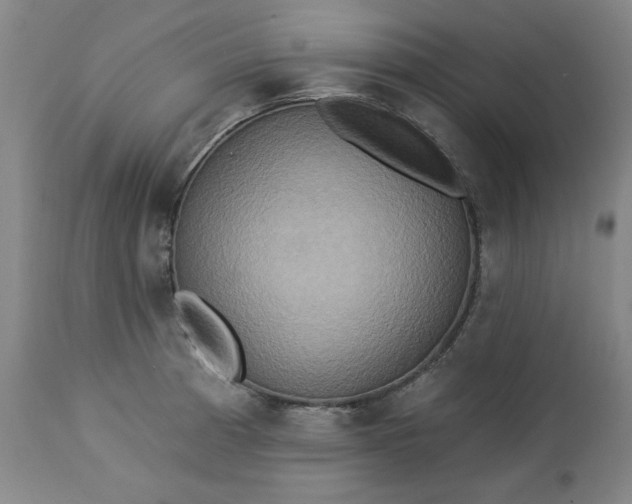 X0000113231185200909241515