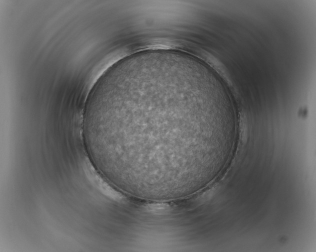 X0000113231186200909241515