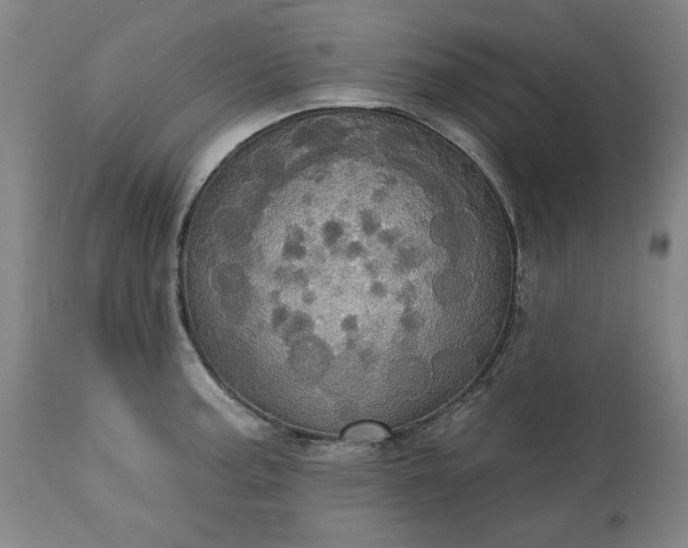 X0000113231187200909241515