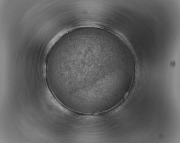 X0000113231188200909241515