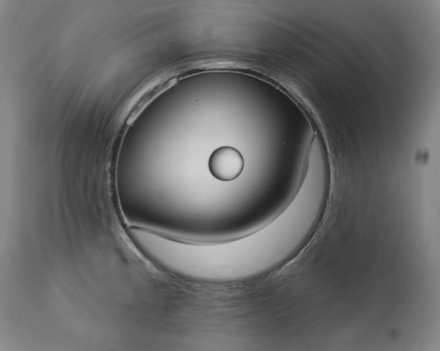 X0000113231189200909241515